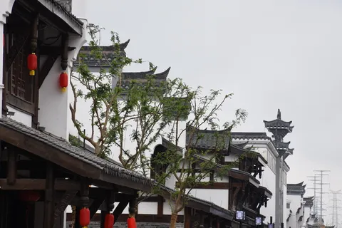 树,屋檐,古建筑,建筑,建筑结构,建筑外观,建筑,天空 树,屋檐,古建筑,建筑,建筑结构,建筑外观,建筑,天空