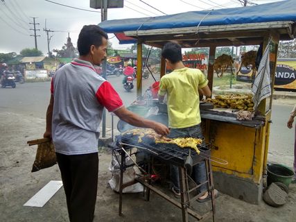 鸡肉，食品，传统，烤，扇子，木炭，卖家，肉