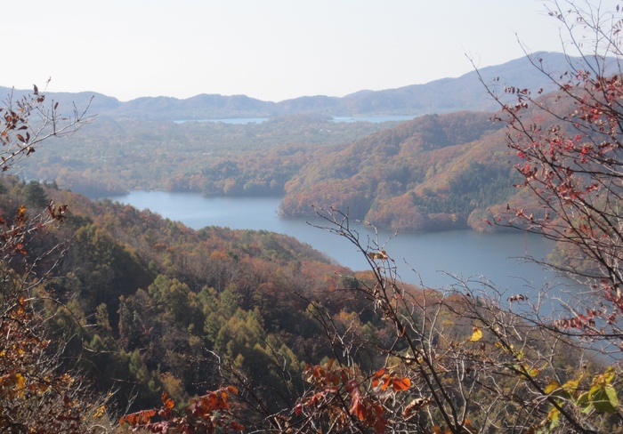 秋天, 秋天的落叶, 植物园, 多彩, 树林, 森林, 枫树, 山