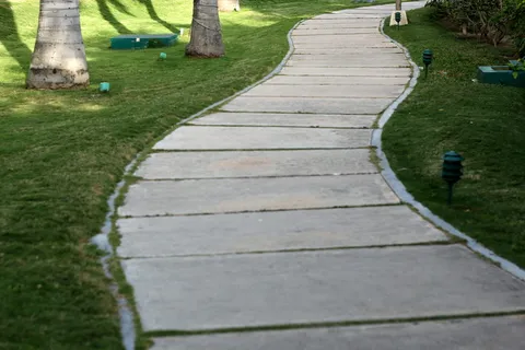 墨西哥，坎昆，小路，散步，棕榈树，小径，水泥，草地