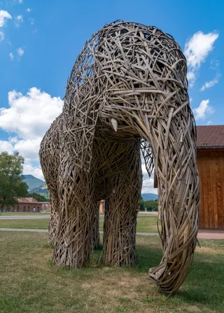 大象，竹子，动物，金合欢，哺乳动物，动物世界，自然，草