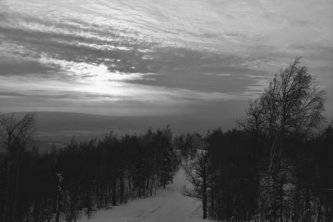 BW，天空，树木，植物，宁静，自然之美，宁静的景色，云天
