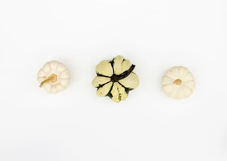 白色、南瓜、蔬菜、食品、南瓜、食品和饮料、摄影棚拍摄、室内 白色、南瓜、蔬菜、食品、南瓜、食品和饮料、摄影棚拍摄、室内