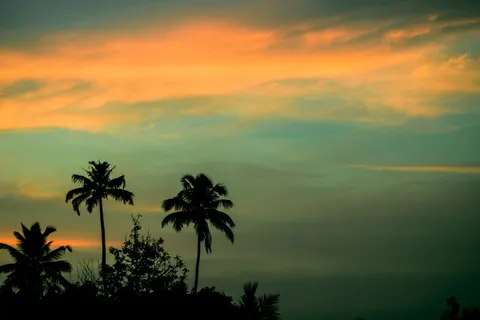 风景,天空,日落,云,椰子,户外,棕榈树,剪影 风景,天空,日落,云,椰子,户外,棕榈树,剪影