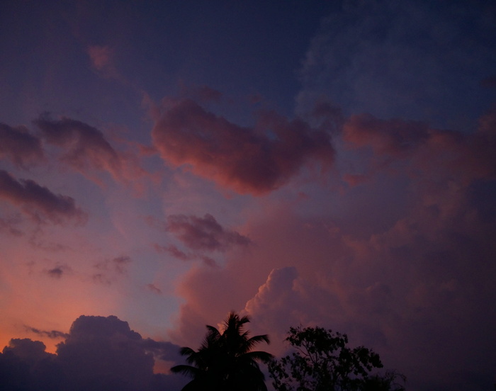 天空，云天，自然之美，风景-自然，宁静，树木，宁静的景色，低角度视图