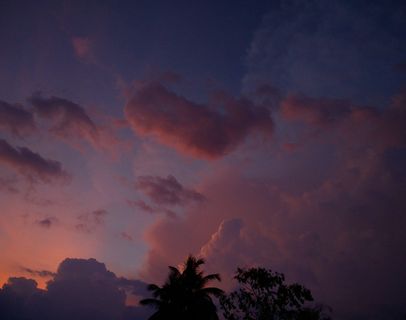 天空，云天，自然之美，风景-自然，宁静，树木，宁静的景色，低角度视图
