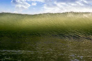 蓝天白云下的绿海