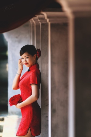 女人，穿着，旗袍，倾斜，灰色，混凝土，柱子，越南