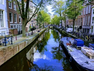 阿姆斯特丹，荷兰，运河，水，船，树，白天，建筑