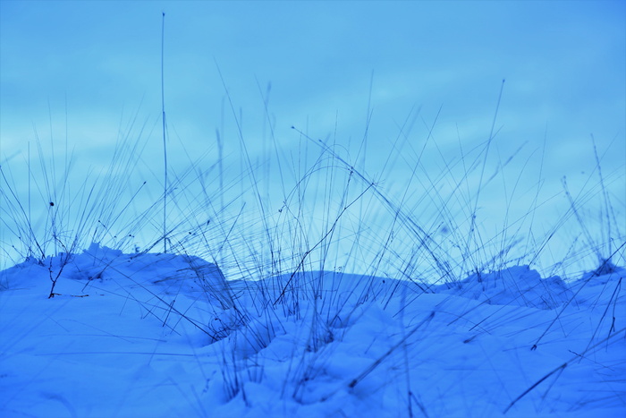 雪，冬天，白色，自然，草药，寒冷，山脉，地平线