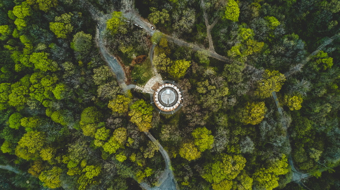 绿色、树木、植物、自然、森林、航空、景观、旅游