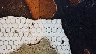 美国, 旧金山, 地板, 瓷砖, 纹理, 没有人, 自然, 一天