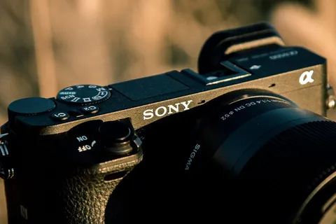 索尼，a6500，西格玛，30mm，1.4，当代，宏，特写