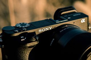 索尼，a6500，西格玛，30mm，1.4，当代，宏，特写