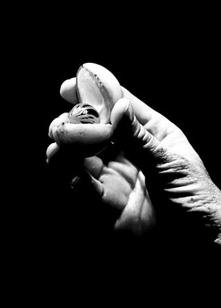 香料, 肉豆蔻, 壮阳药, 爱情药水, 手, 深色背景, 黑白色, 手