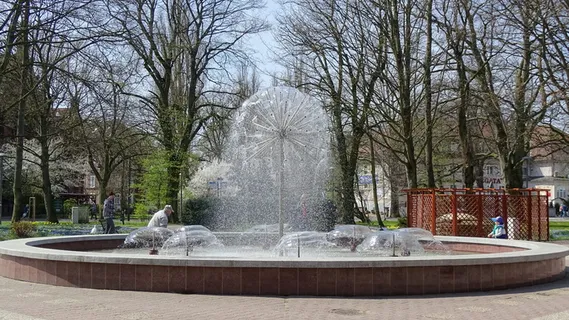 喷泉、公园、水厂、树木、植物、水、裸树、自然