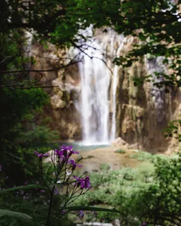克罗地亚，普利特维卡·杰泽拉，普利特维兹湖国家公园，花，树，湖，水，瀑布