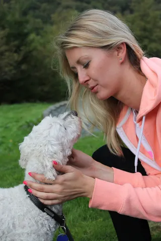 忠诚，爱，狗，忠诚，友谊，相互理解，只有一个女人，金发