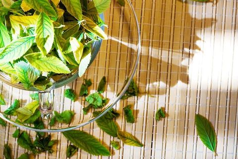 杯子，饮料，植物，花卉，新鲜，绿色，健康，叶子