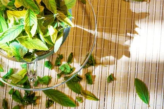 杯子，饮料，植物，花卉，新鲜，绿色，健康，叶子