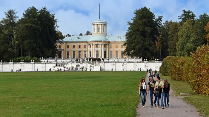 阿尔汉格尔斯克，旅行，家园，远足，植物，树木，人群，真人
