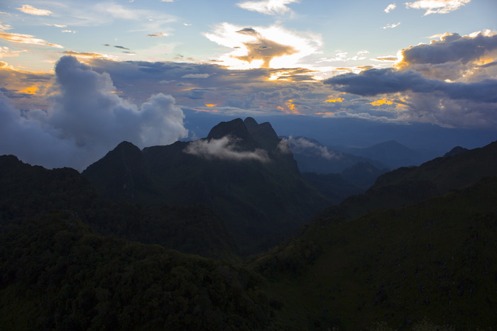 doi chiang dao，doi luang chiang dao，mountan，自然，背景，新鲜，秋天，食物