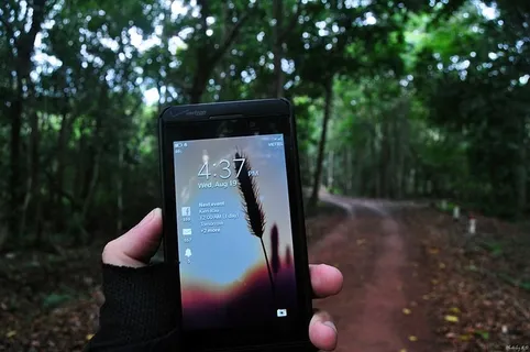 越南，rừ吴奇ến khu d、手机、森林、树木、黑莓、背包客、徒步旅行