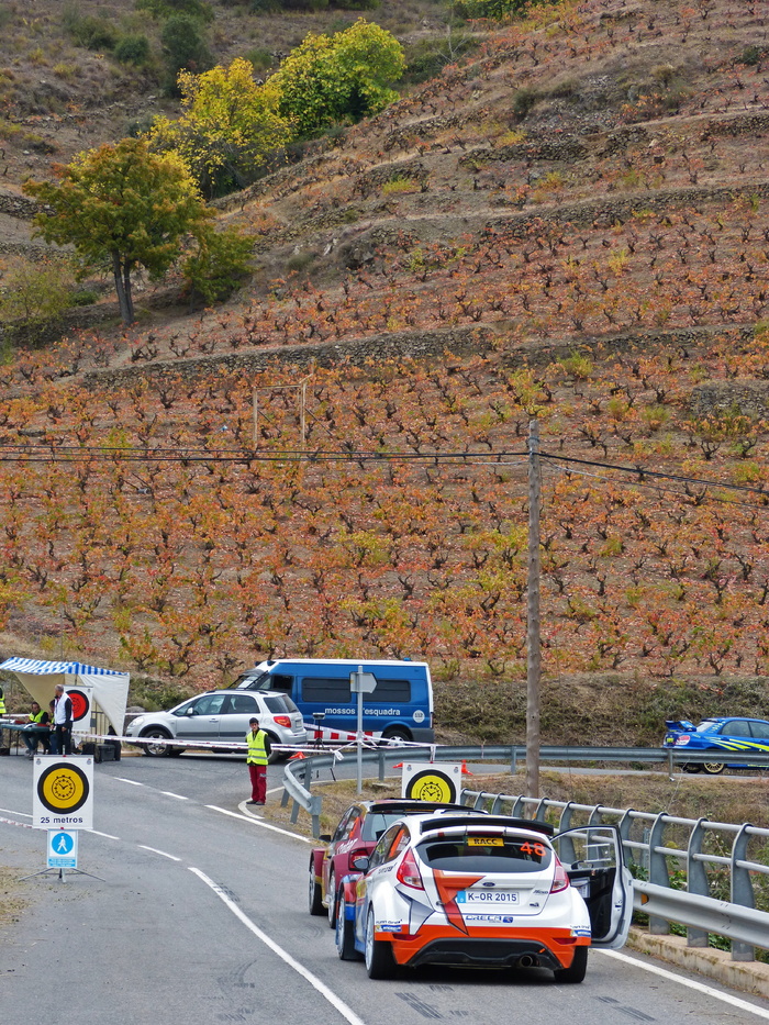 rally catalunya，wrc，输出，拉伸，控制，priorat，葡萄园，秋季