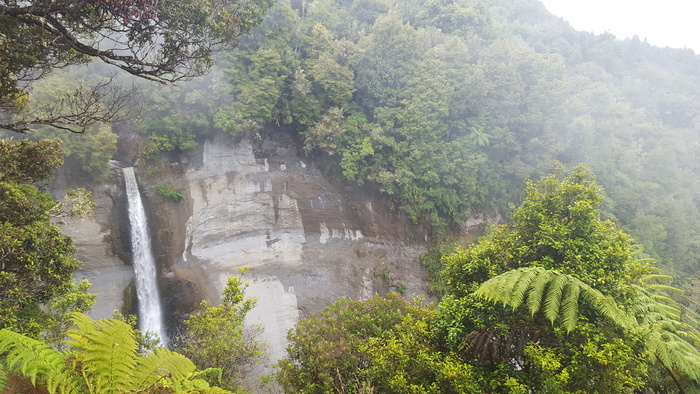 新西兰，达姆特瀑布，隐藏，森林，瀑布，雾，和平，自然