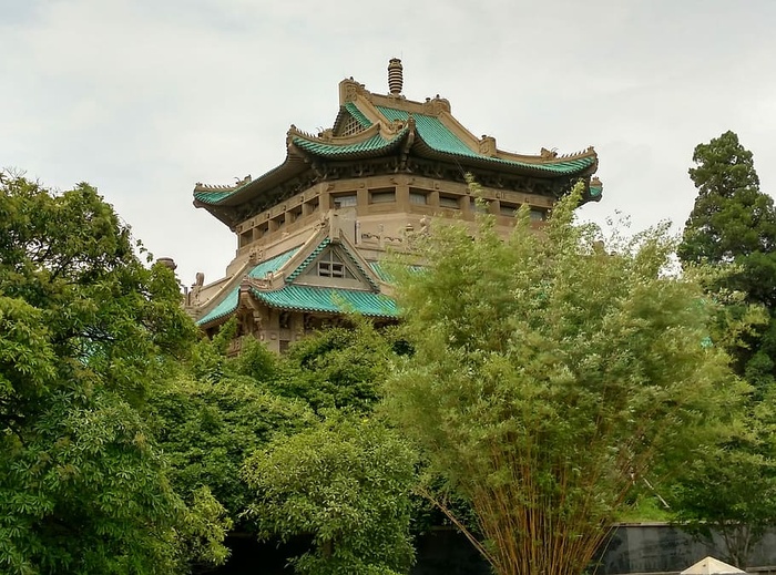 樱桃，顶，武汉大学，樱桃顶，老图书馆，建筑，树木，建筑外部