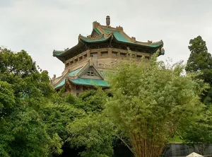 樱桃，顶，武汉大学，樱桃顶，老图书馆，建筑，树木，建筑外部