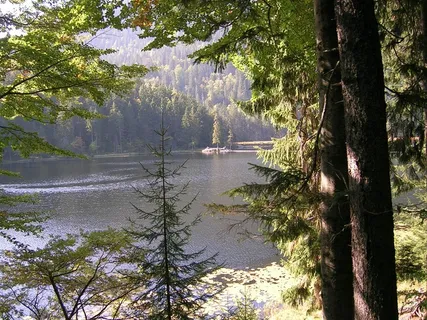 arbersee、nature、bergsee、rest、landscape、tree、plant、water arbersee、nature、bergsee、rest、landscape、tree、plant、water