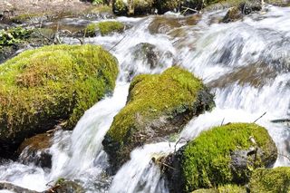 河流的流动，自然，上游，水，自然之美，植物，流水，岩石