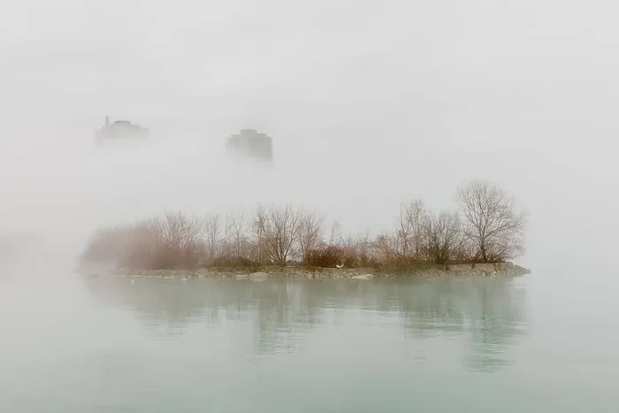 雾气笼罩着城市的水边，背景是树木和建筑物的顶部