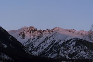 雪、冬天、白色、寒冷、天气、冰、树木、植物