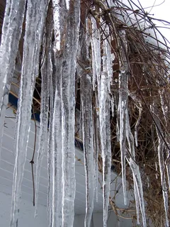 冰柱,冬天,寒冷,结冰,结冰,结冰,寒冷的温度,雪 冰柱,冬天,寒冷,结冰,结冰,结冰,寒冷的温度,雪
