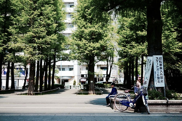 成人、旗帜、自行车、建筑、城市、日光、环境、景观