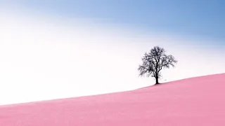 自然、风景、背景、全景、孤独、天空、色彩、明亮