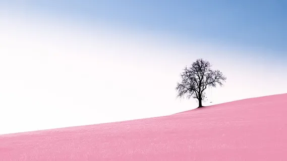 自然、风景、背景、全景、孤独、天空、色彩、明亮 自然、风景、背景、全景、孤独、天空、色彩、明亮