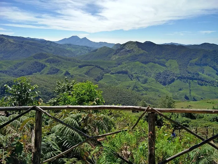 森林，风景，山脉，自然，农业，云朵，凉爽，乡村