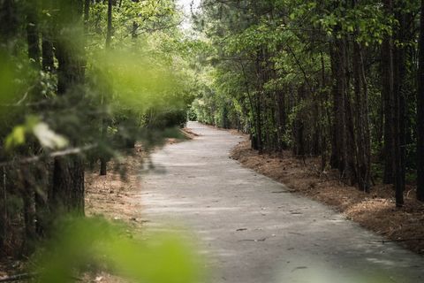 散步，森林，绿色，春天，探索，旅行，尼斯，冒险