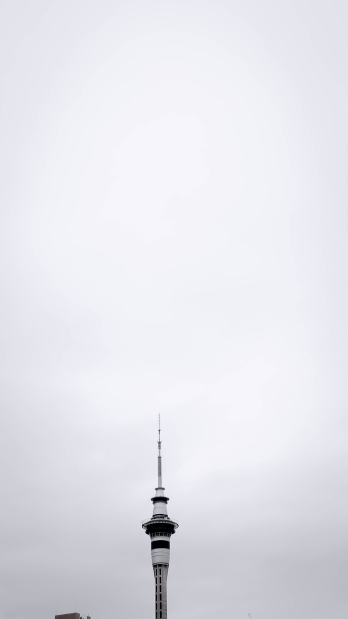 建筑，建筑，塔楼，尖塔，尖塔，奥克兰市，新西兰