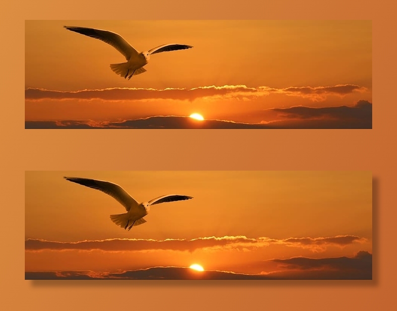 白色，海鸥，飞翔，日落，旗帜，头，鸟，飞翔