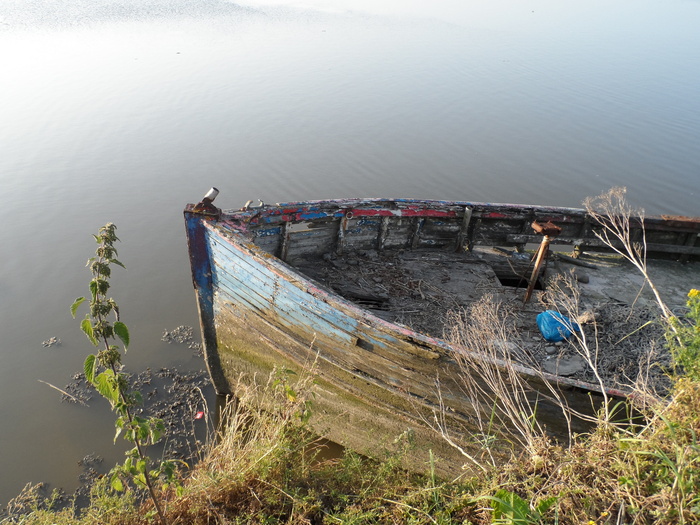 平静水中的船，需要油漆的旧船，船的残骸，水，交通，航海船，自然，高角度视图