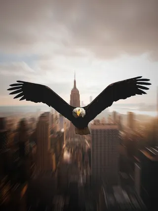 城市、雕塑、纪念碑、建筑、文化、旅游、老鹰、城市