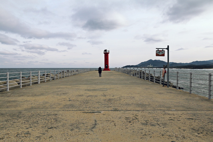 海，海滩，水，水平，海岸，灯塔，地平线，孩子