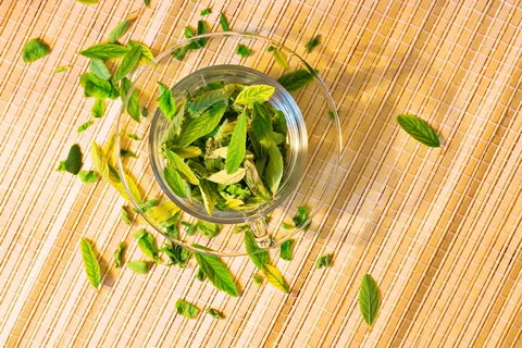 杯子,曲线,设计,餐具,饮料,植物,花卉,食品 杯子,曲线,设计,餐具,饮料,植物,花卉,食品