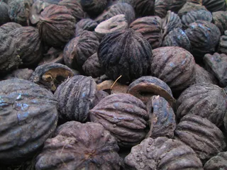 种子、天然、质地、有机、颜色、树木、细节、食品和饮料