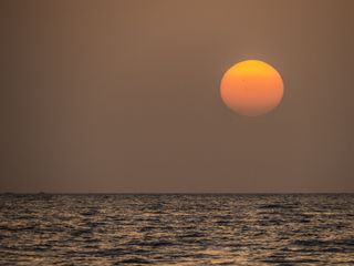 日落、海滩、太阳、大海、风景、下午、棕榈树、海岸