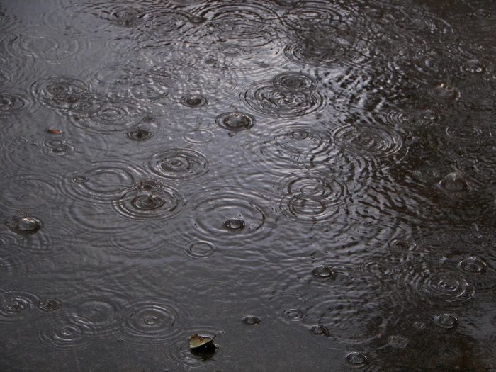 雾、时间线、雨、水、涟漪、水滴、背景、自然